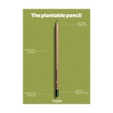 Vue 5 de Sproutworld Sharpened Pencil crayon taillé