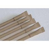 Vue 9 de Recycled Paper Pen stylo