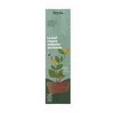 Vue 1 de Carte d'en-tête unique pour le crayon Sproutworld FR