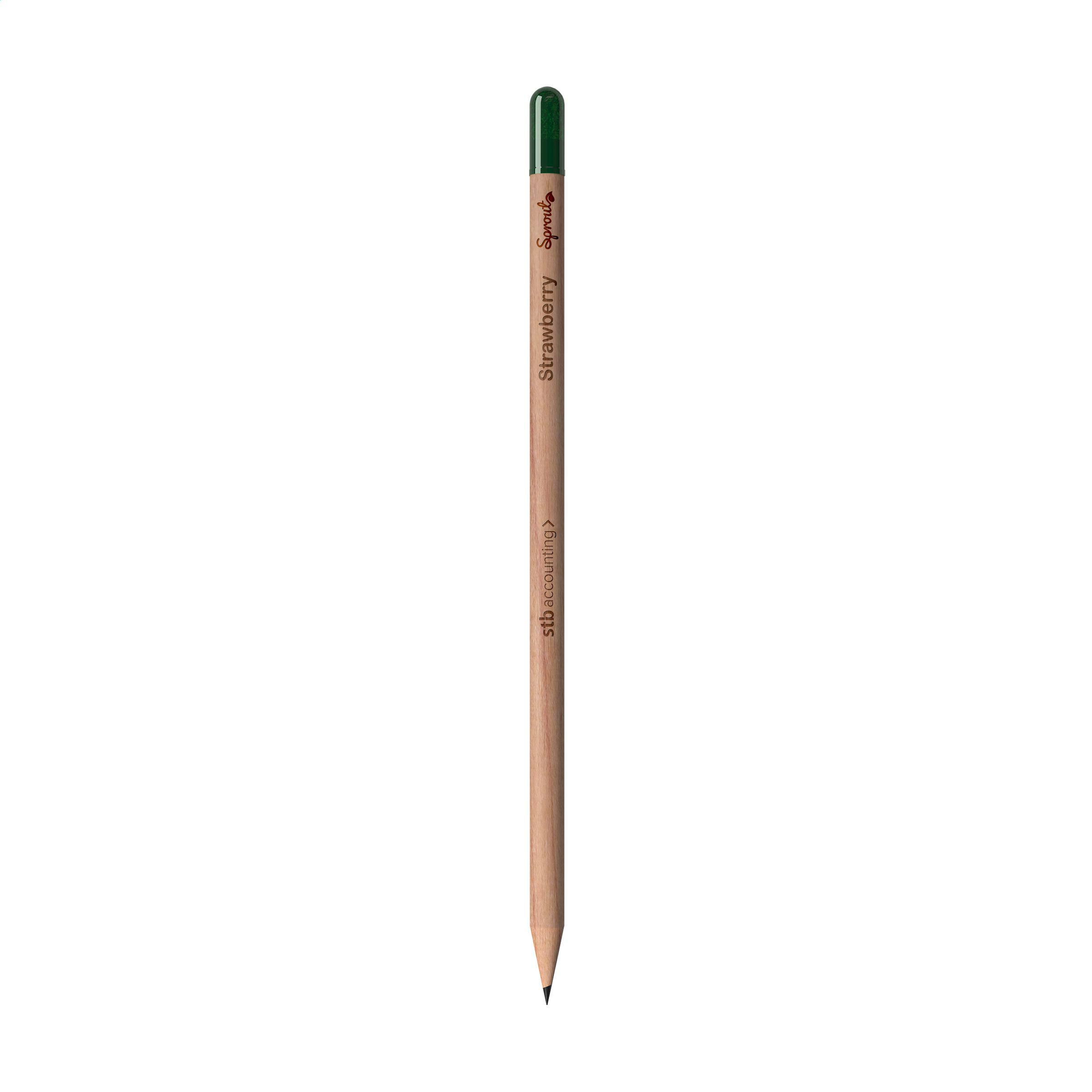 Sproutworld Sharpened Pencil crayon taillé