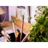 Vue 8 de Sproutworld Sharpened Pencil crayon taillé