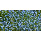 Vue 6 de Sproutworld Sharpened Pencil crayon taillé