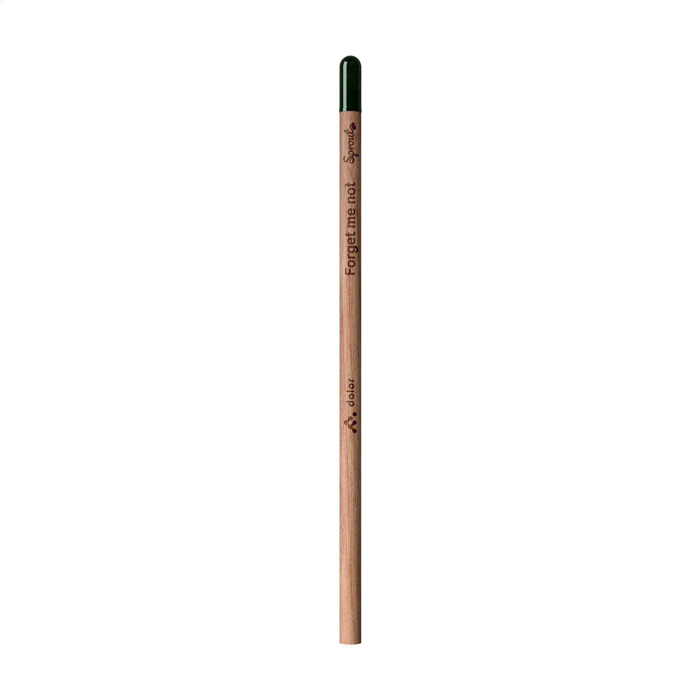 Sproutworld Unsharpened Pencil crayon non taillé