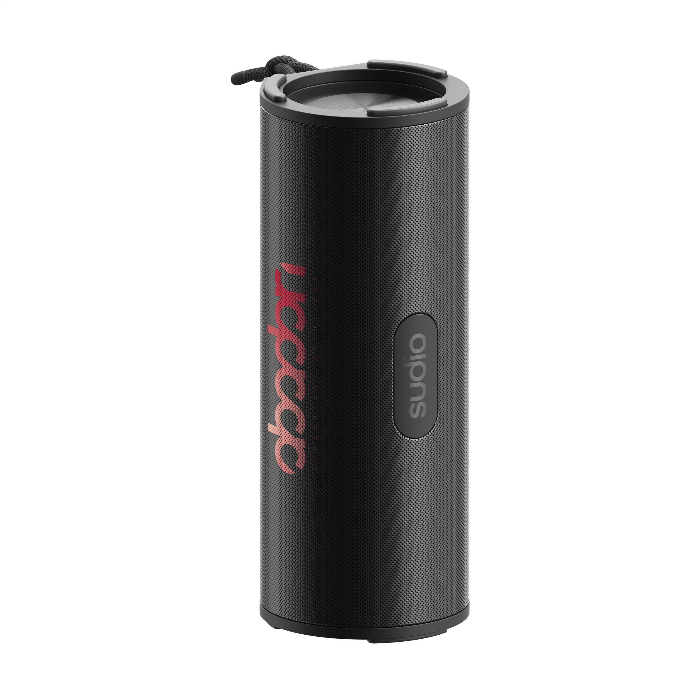 Sudio Bluetooth Speaker F4