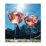 Vue 3 de HappyGlass Miss Liza Gin-Tonic Glass Tritan 630 ml