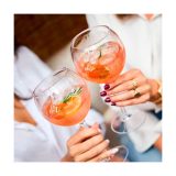 Vue 5 de HappyGlass Miss Liza Gin-Tonic Glass Tritan 630 ml