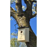 Vue 6 de Birdhouse nichoir