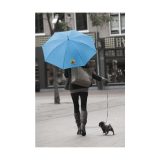Vue 6 de Colorado parapluie 23,5 inch