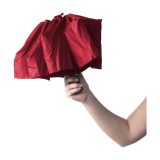 Vue 4 de Impulse parapluie automatique 21 inch
