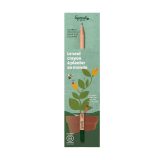 Vue 2 de Sproutworld Sharpened Pencil & Header Card crayon taillé