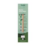 Vue 3 de Sproutworld Sharpened Pencil & Header Card crayon taillé