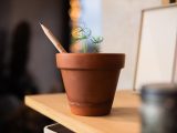 Vue 10 de Sproutworld Sharpened Pencil & Header Card crayon taillé