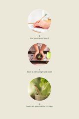 Vue 5 de Sproutworld Unsharpened Pencil & Header Card crayon non taillé