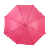 Vue 2 de Parapluie Andy