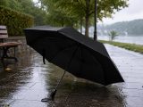 Vue 2 de Parapluie Jamelia