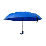 Vue 2 de Parapluie Jamelia