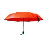 Vue 2 de Parapluie Jamelia