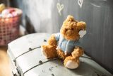 Vue 12 de Ours en peluche Monty