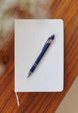 Vue 4 de Stylo Primo | stylet