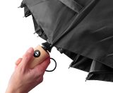 Vue 3 de Parapluie Teodora