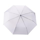 Vue 2 de Parapluie Teodora
