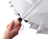 Vue 3 de Parapluie Teodora