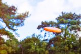 Vue 2 de Frisbee Jolie