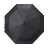 Vue 2 de Parapluie Kameron