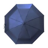 Vue 3 de Parapluie Kameron
