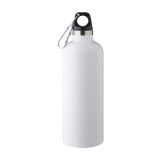 Vue 1 de Gourde Lysandra | Inox | 500 ml | 12h froid, 8h chaud