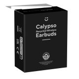 Vue 4 de Calypso RCS Recycled Wireless Earbuds écouteurs