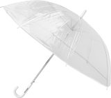 Vue 1 de Parapluie Denise | Transparent | 21 pouces