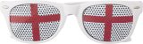 Vue 1 de Lunettes de fête Lexi | Drapeau national