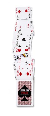Vue 2 de Cartes à jouer Anton | Avec boîte