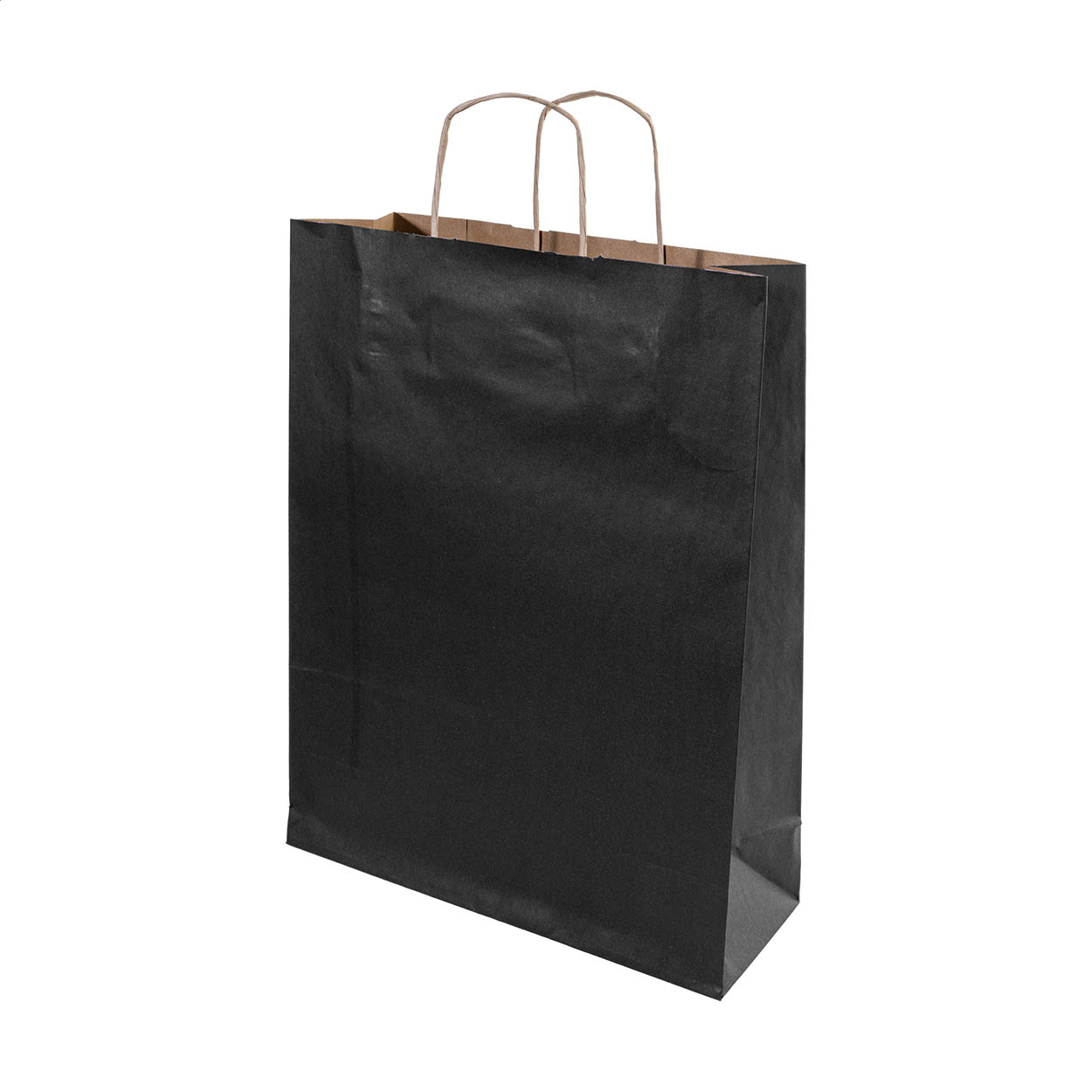 Papbag L Sac cadeau en papier, grand format