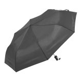 Vue 2 de Cirros parapluie
