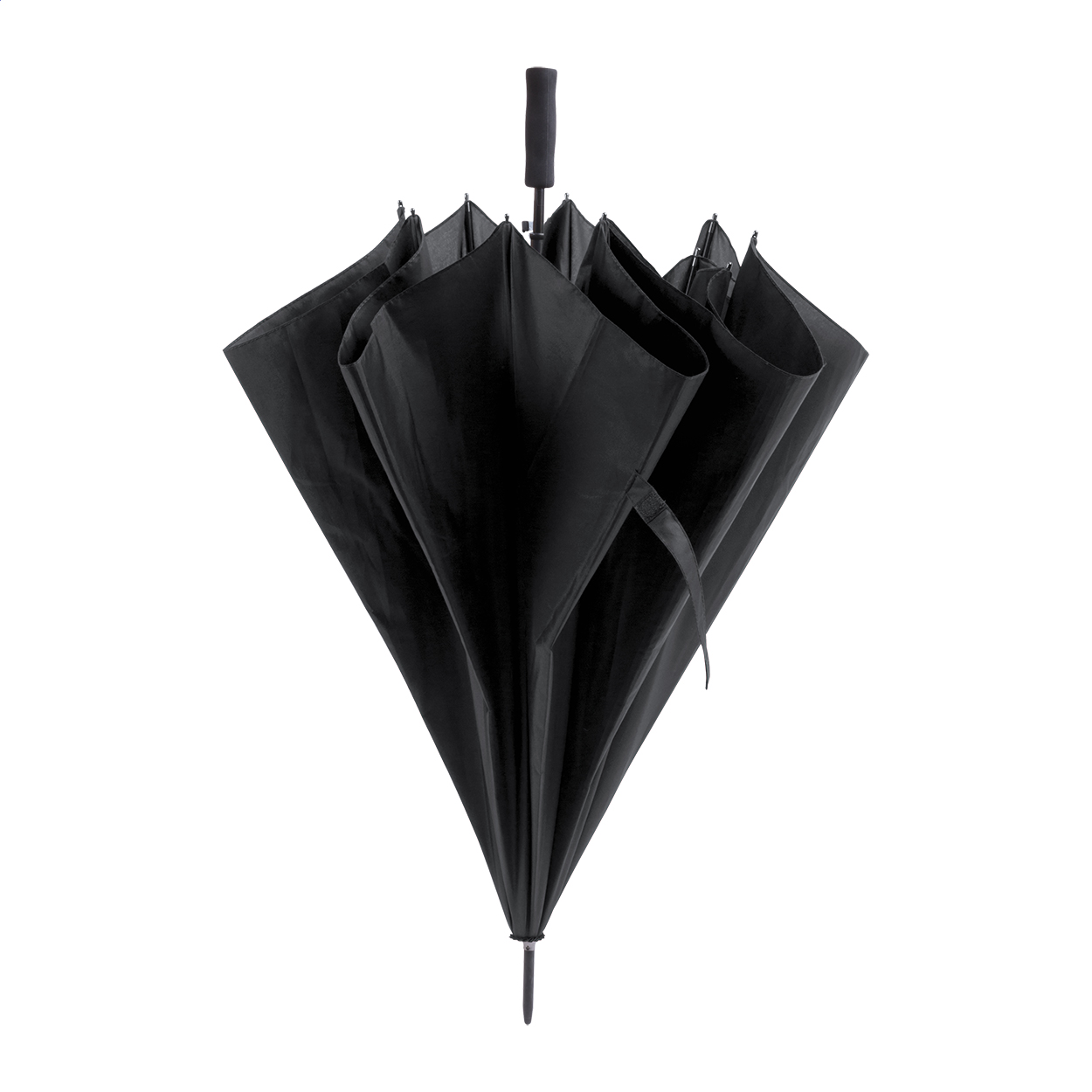 Maximus parapluie
