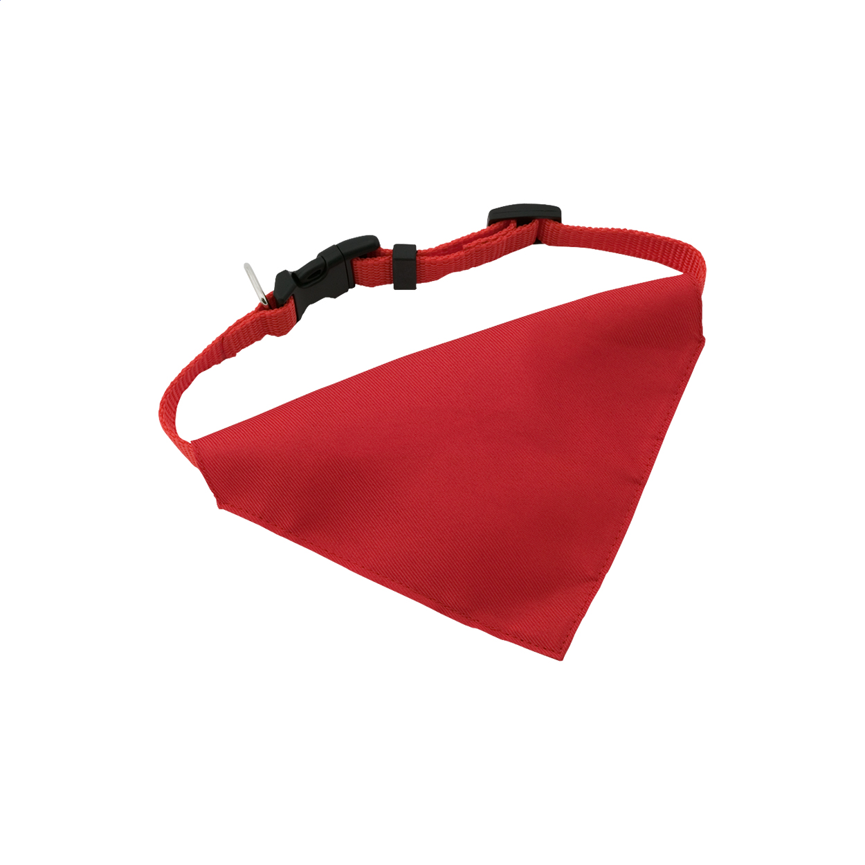 Rex collier pour chien
