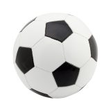 Vue 1 de Pancho ballon de foot