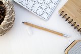 Vue 3 de Bovoid stylo bambou sans encre