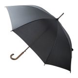 Vue 1 de Limoges parapluie