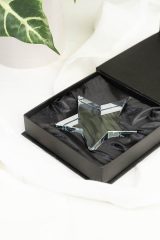 Vue 5 de Crystar Trophée étoile
