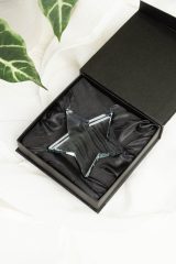 Vue 6 de Crystar Trophée étoile