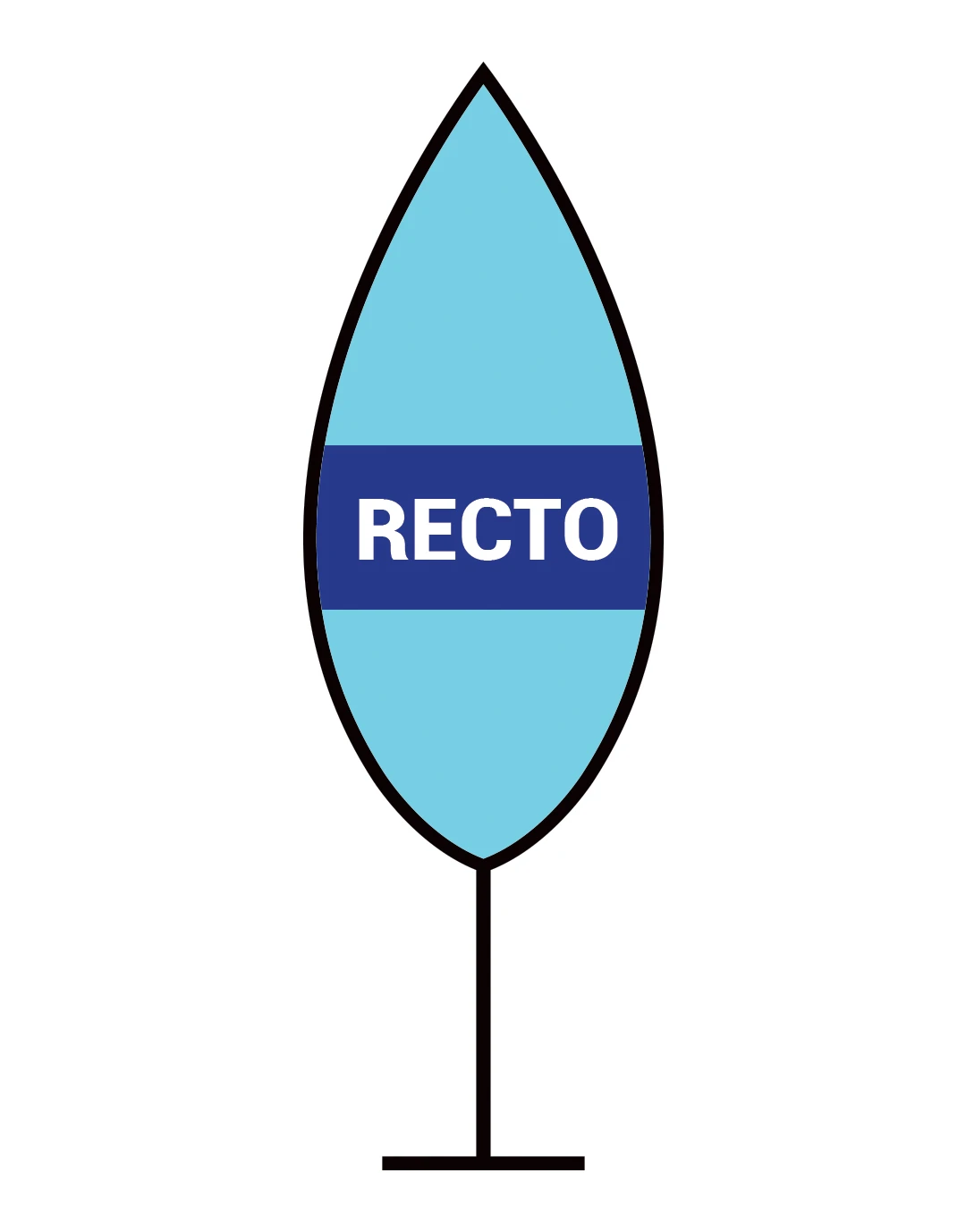 Leaf flag 310 - Numérique R° Lf310V