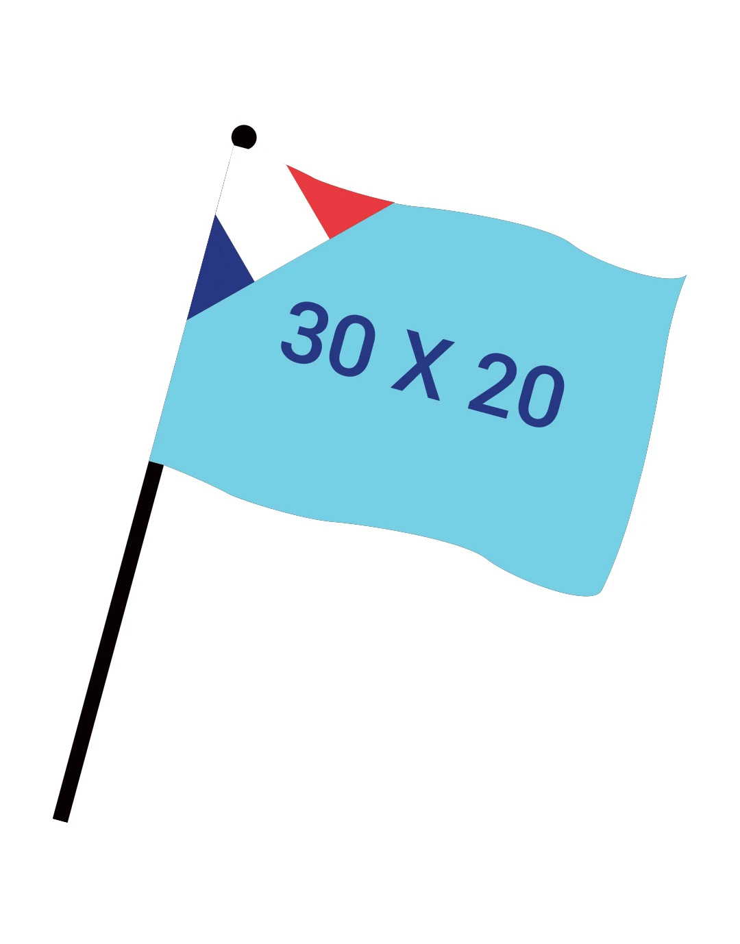 Drapeau numérique 30x20cm FAB FR Ds45Fr