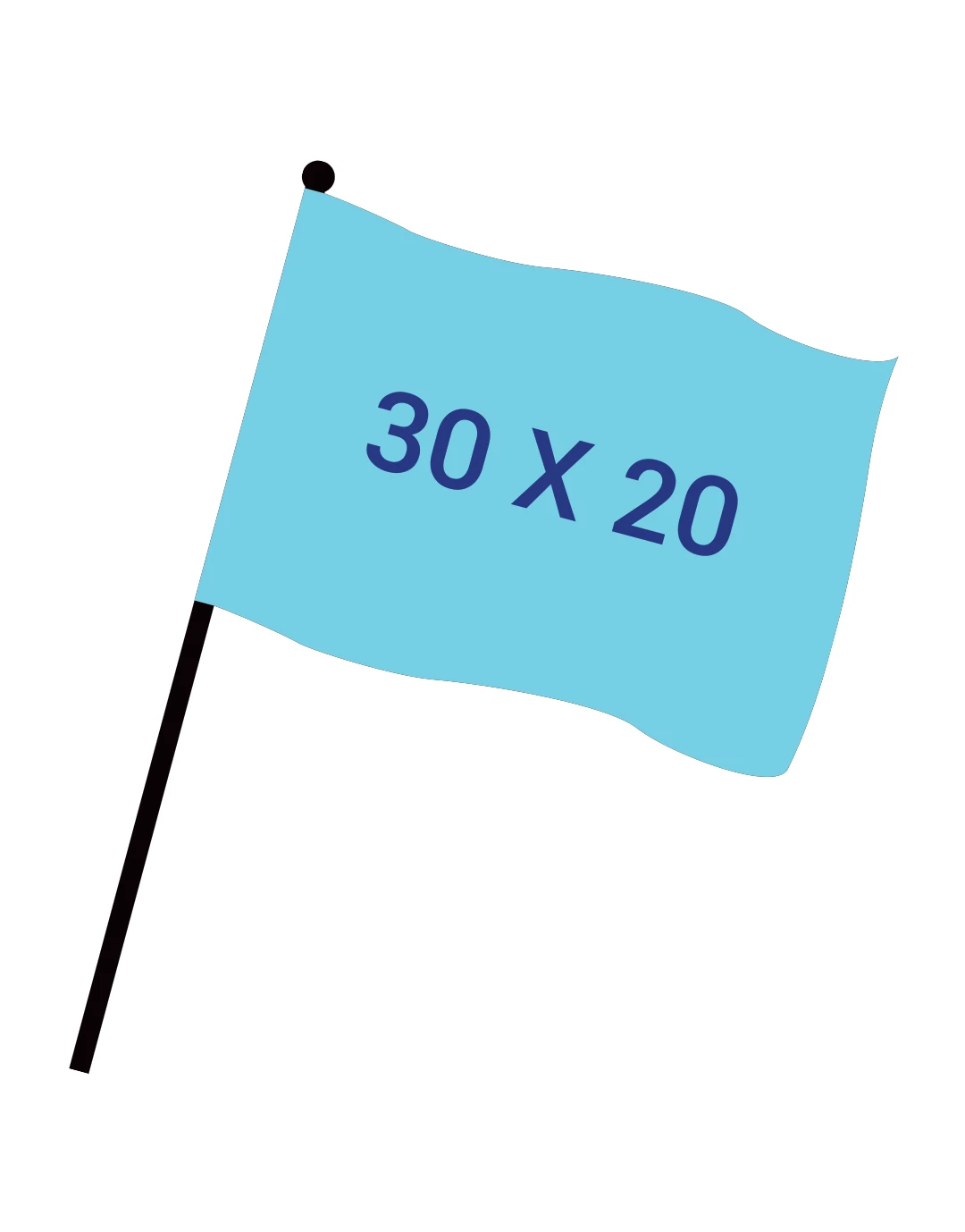 Drapeau numérique 30x20cm + Hampe 40 cm Ds45