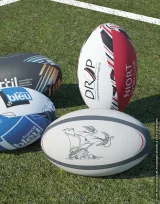 Vue 1 de Ballon Rugby REPLICA - import avion Wr075A