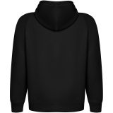 Vue 2 de Sweat à capuche de 300 g/m² Vinson en coton organique unisexe