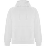 Vue 1 de Sweat à capuche de 300 g/m² Vinson en coton organique unisexe