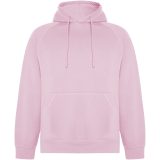 Vue 1 de Sweat à capuche de 300 g/m² Vinson en coton organique unisexe